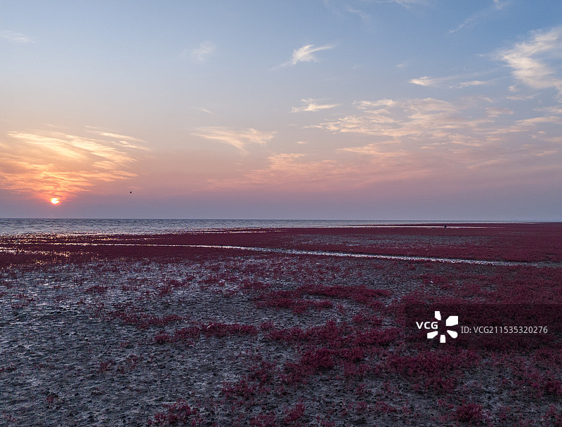 红海滩国家风景廊道 风光航拍摄影图片素材
