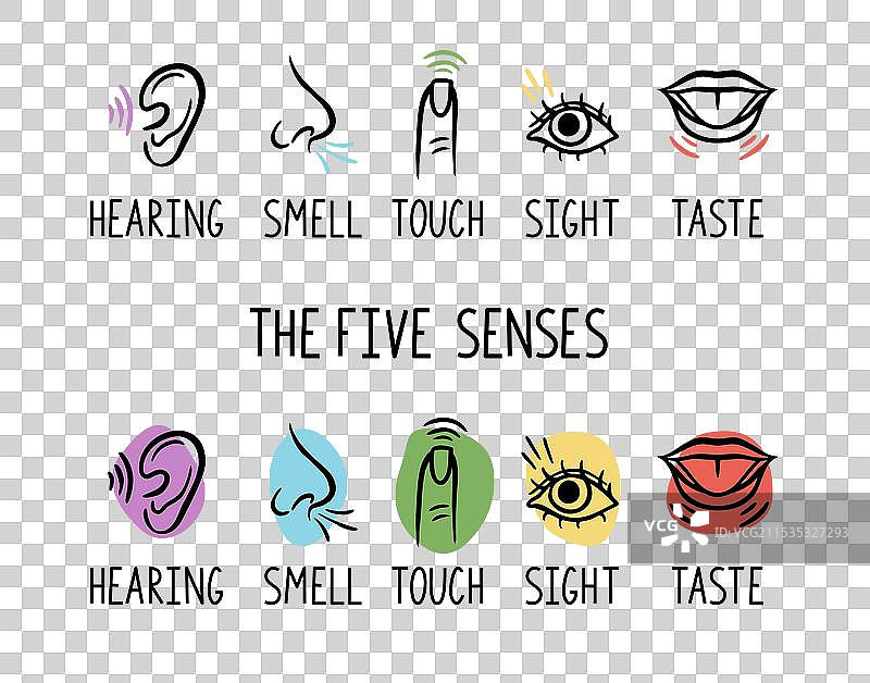 五种人类感官：味觉、视觉、触觉图片素材
