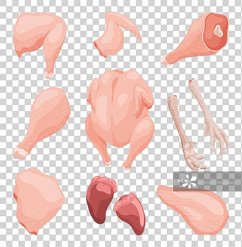 一个展示各种内容的教育性活动图片素材