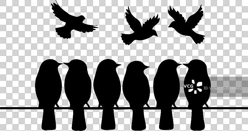 一群鸟栖息在电线上，适合T恤设计图片素材