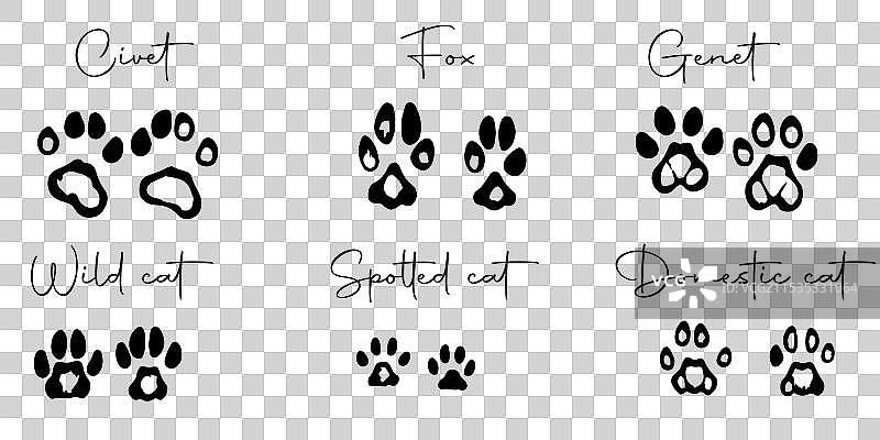 手绘野生动物足迹图片素材