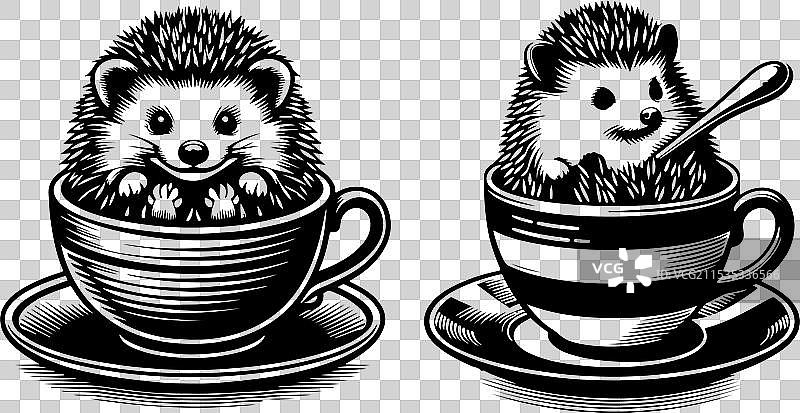 小刺猬在咖啡杯里图片素材