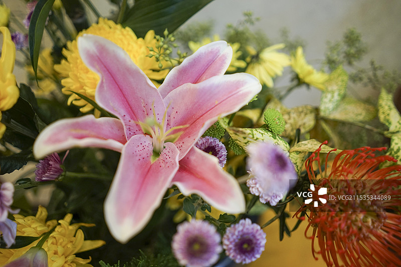 中国中式插花生活方式拍摄主题，插花休闲娱乐活动，瓶子里的鲜花盛开，室内无人图像摄影图片素材