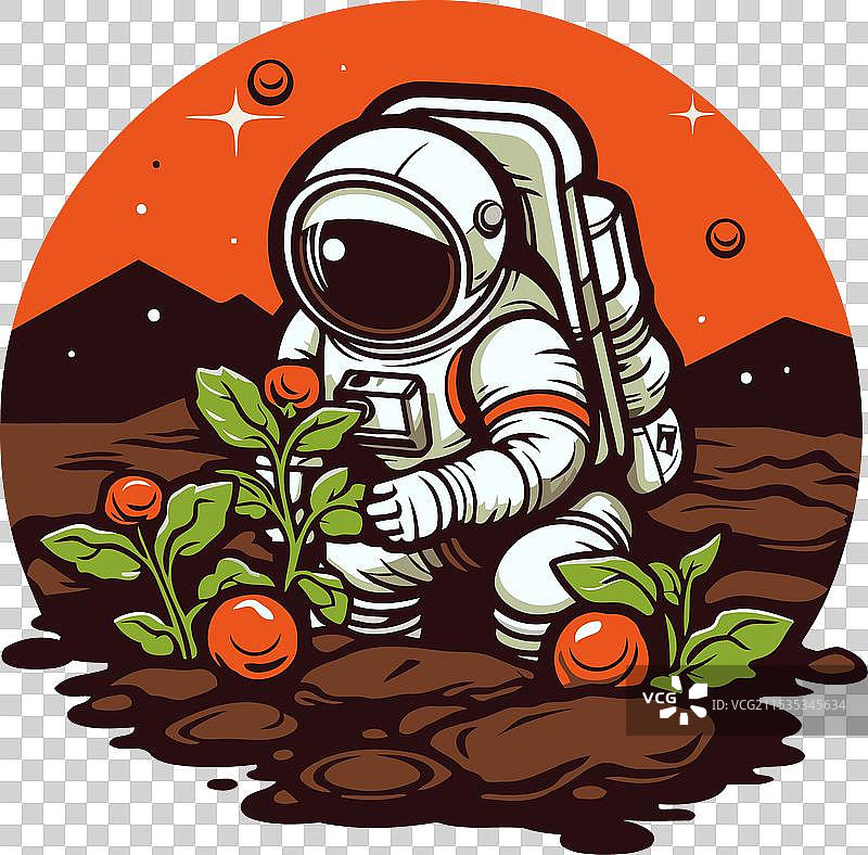 宇航员在田野中与番茄植物一起图片素材