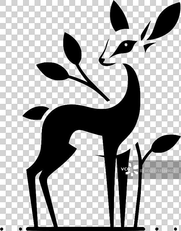 可爱的黑白色格雷努克羚羊图片素材