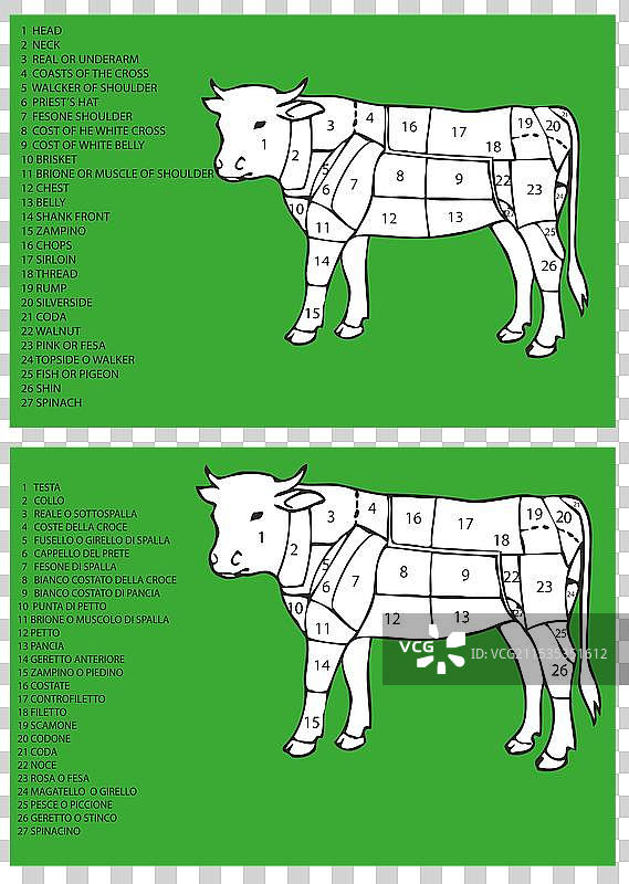 肉类切割图展示不同的肉块切割部位图片素材