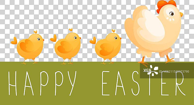 母鸡带着小黄鸡散步图片素材