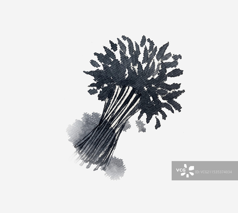 藜蒿国风水墨插画图片素材