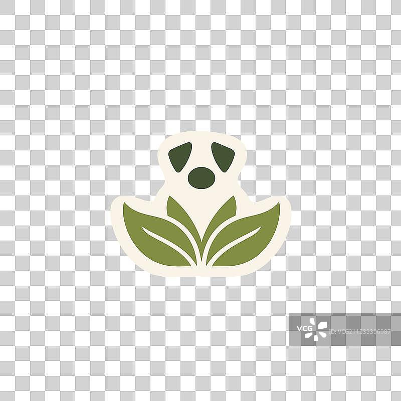 环保的狗狗美容沙龙，色彩缤纷图片素材