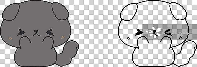 可爱的孤立英国短毛猫图片素材