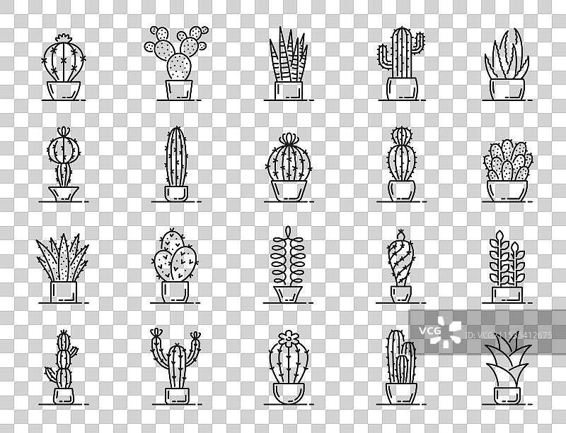 沙漠植物的仙人掌多肉植物线条图标集图片素材