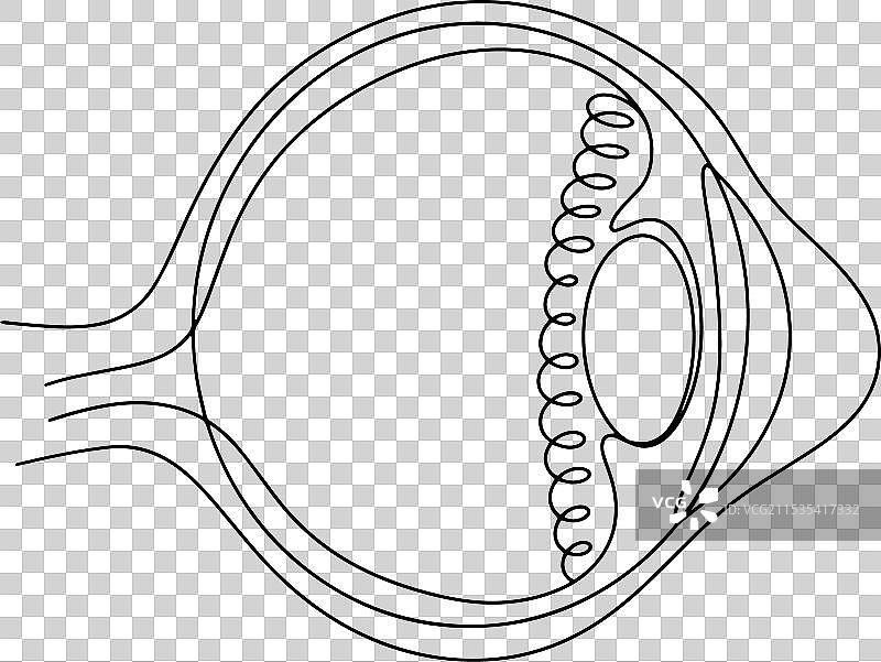 角膜圆锥眼图片素材