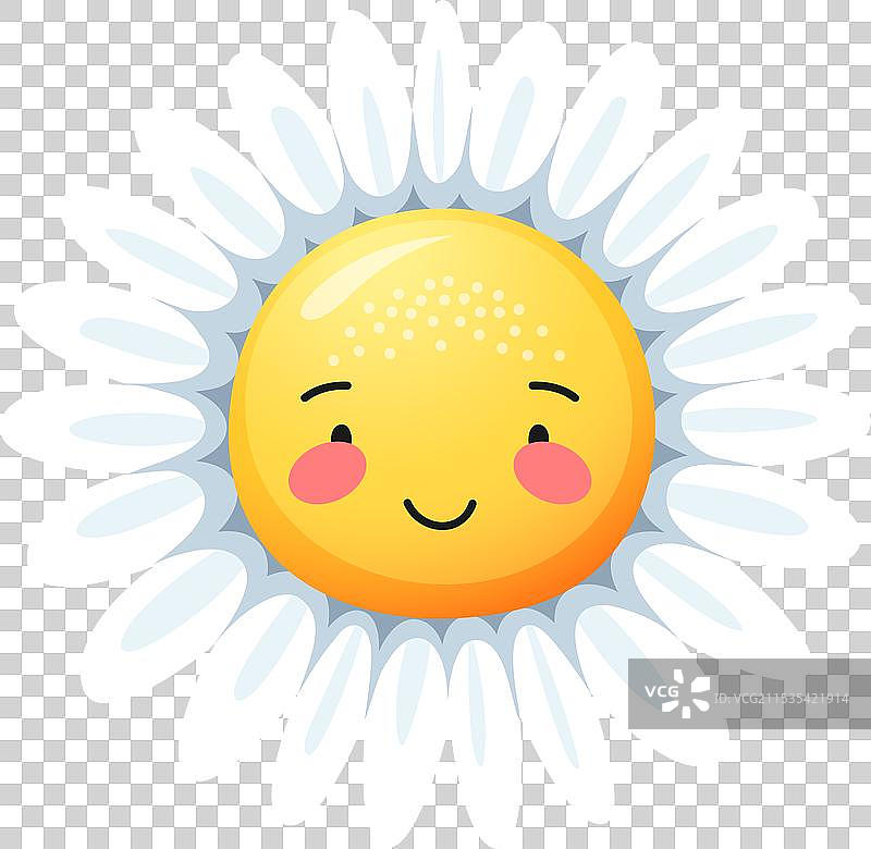 可爱的卡通角色，微笑的洋甘菊和雏菊花图片素材