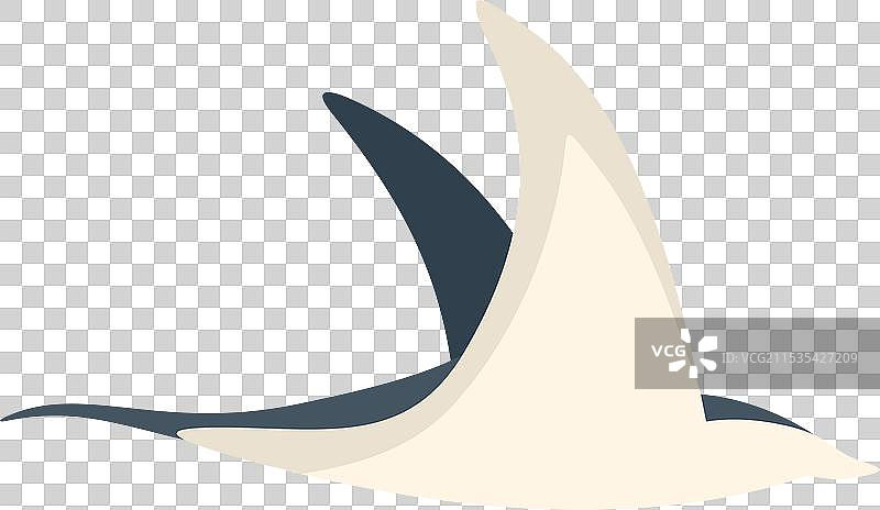 优雅地在水下游动的巨型魔鬼鱼图片素材