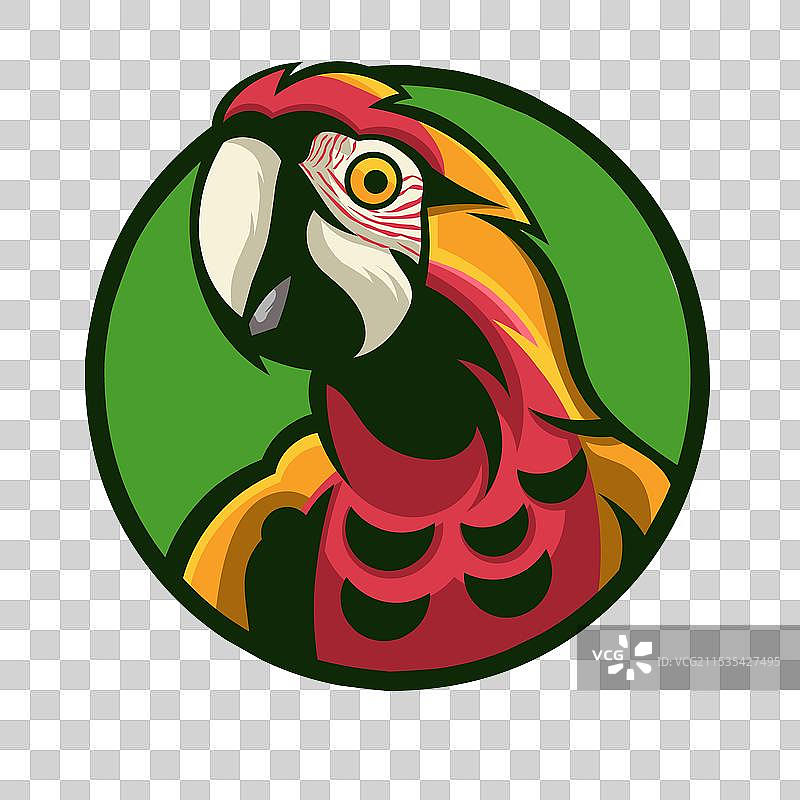 金刚鹦鹉鸟标志鹦鹉吉祥物图片素材