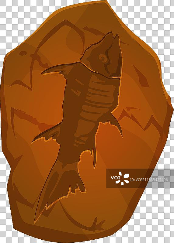 古代化石鱼骨骼印记在石头上图片素材