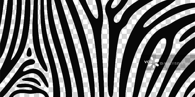 斑马纹理图片素材