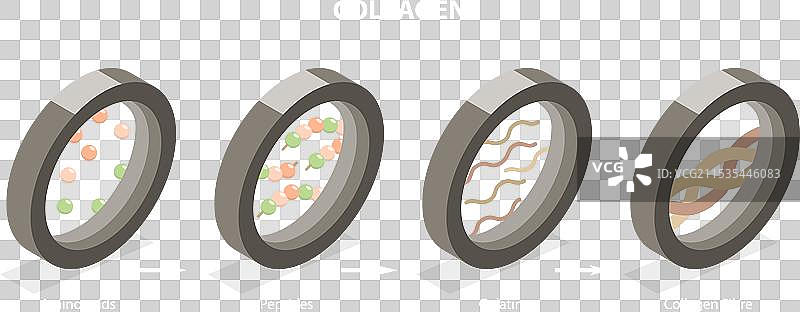 胶原蛋白的三维等距平面图图片素材