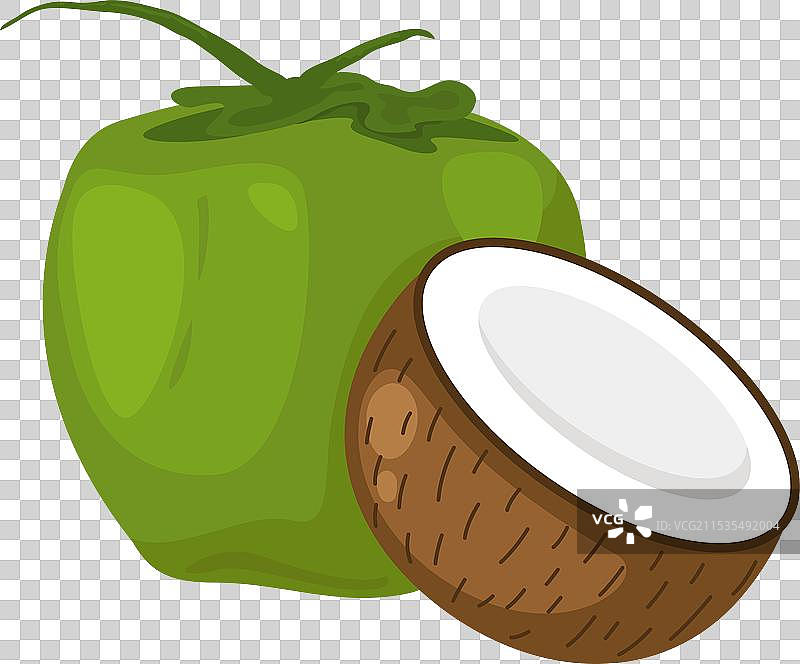 白色背景上的椰子图片素材