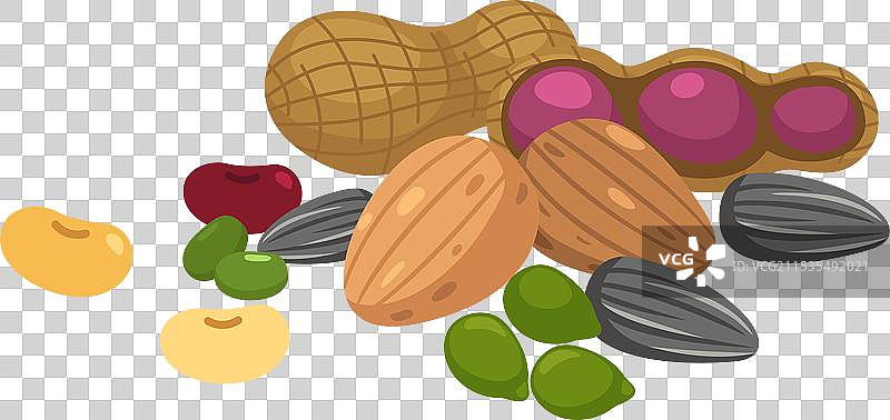 坚果在白色背景上图片素材