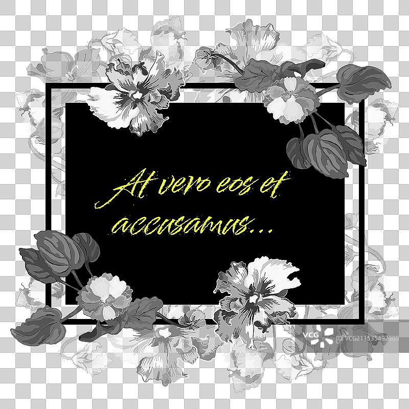 孤立的框架中盛开的深紫色花朵图片素材