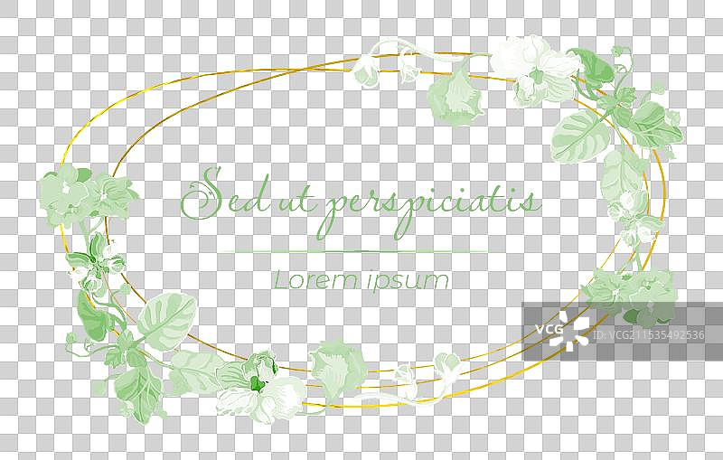 孤立的框架中盛开的浅紫色花朵图片素材