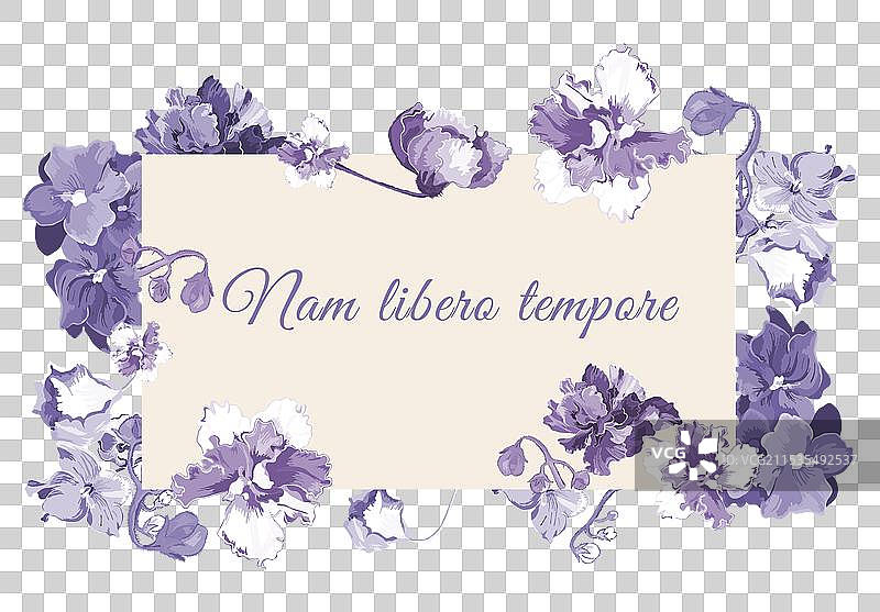 孤立的框架中盛开的深紫色花朵图片素材