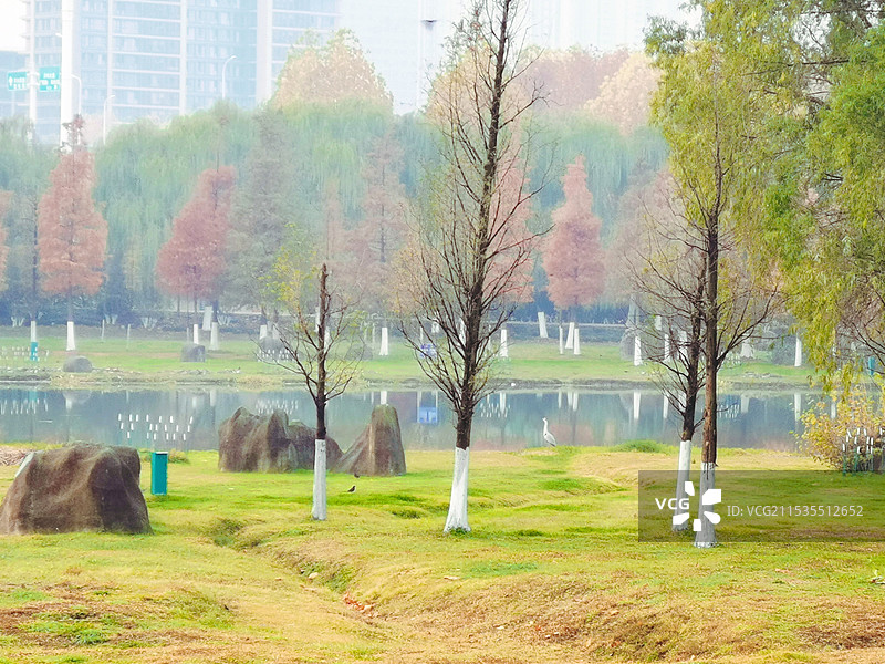 《冬季公园里的美景》图片素材