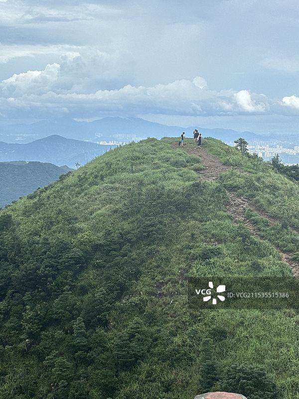 广东东莞市银瓶山森林公园群山中的云海景色图片素材