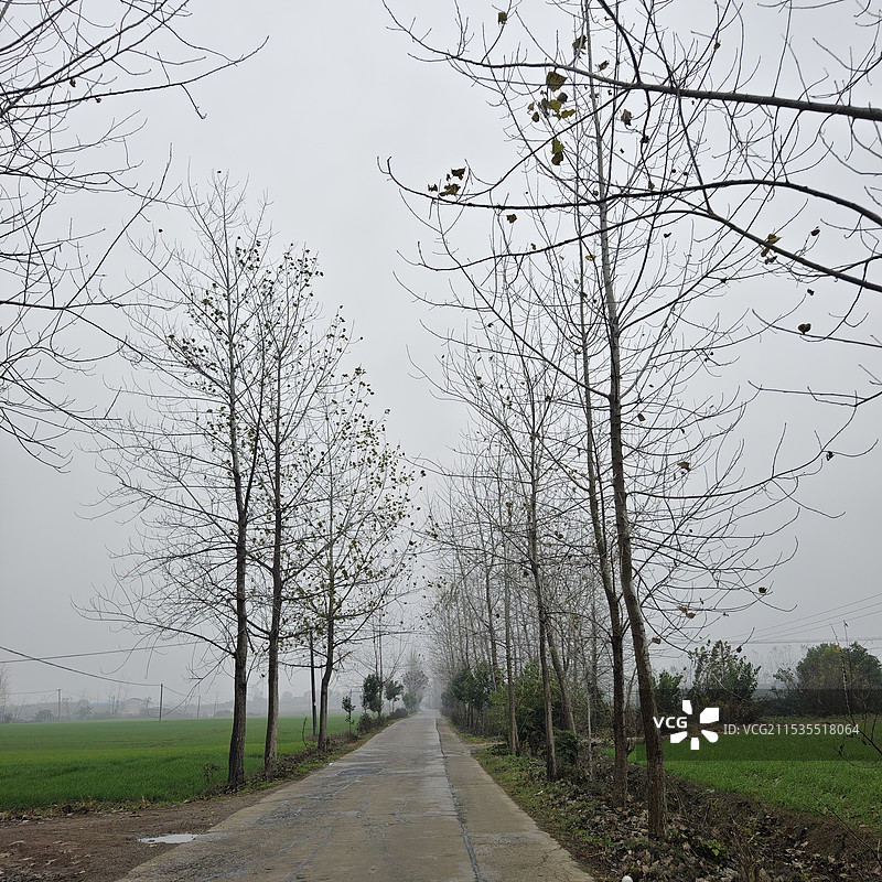 乡村小路图片素材