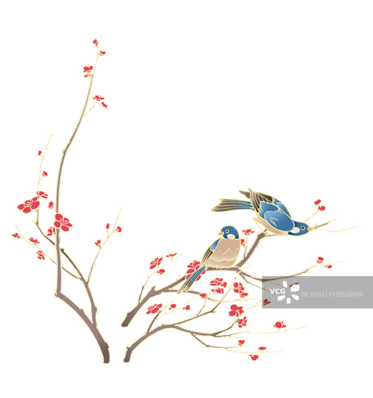 梅花枝头上的两只蓝色小鸟图片素材