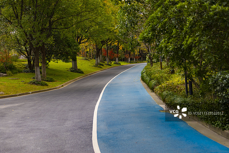 秋天森林中的林荫小道特写图片素材