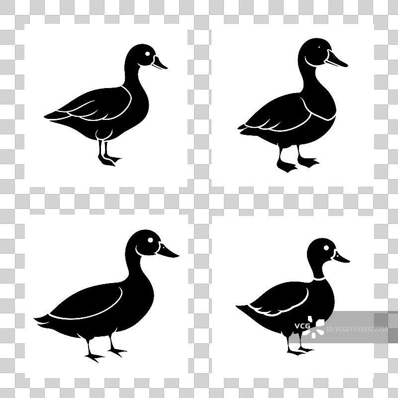 鸭子剪影图片素材