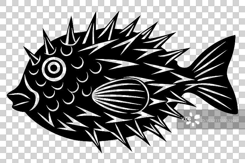 刺豚鱼轮廓图片素材