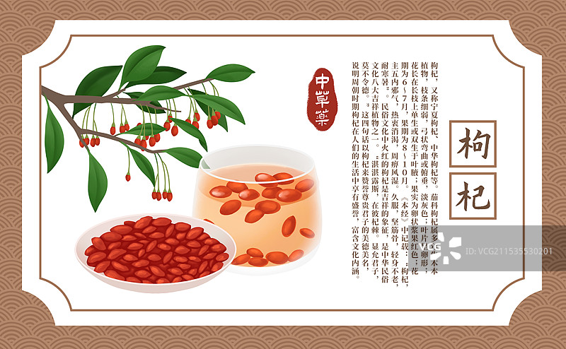中草药枸杞插画海报图片素材