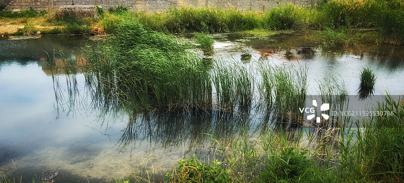 凉水河秋色图片素材