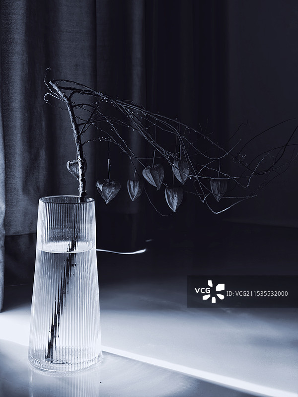 桌上花瓶的特写镜头图片素材