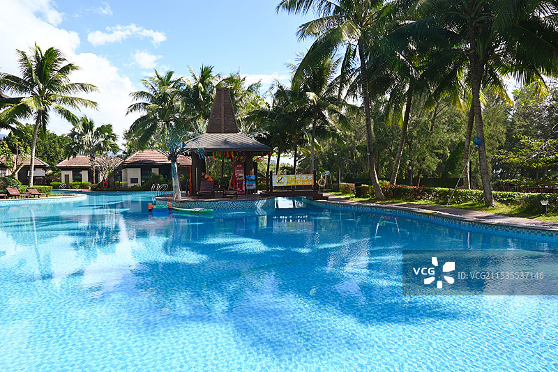 椰林泳池图片素材