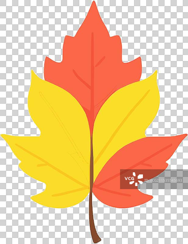 秋天的落叶季节五彩斑斓的大自然图片素材