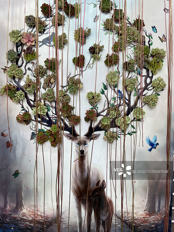 21年上海花博会一隅图片素材