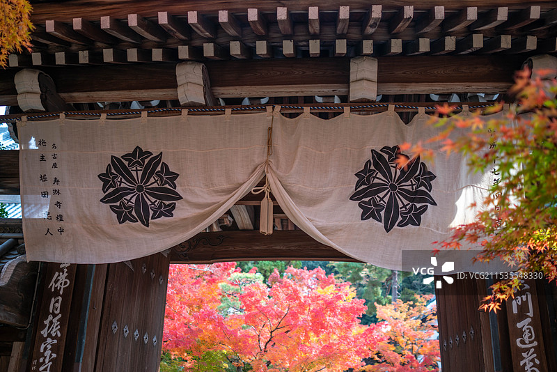 日本京都永观堂红叶和游客图片素材