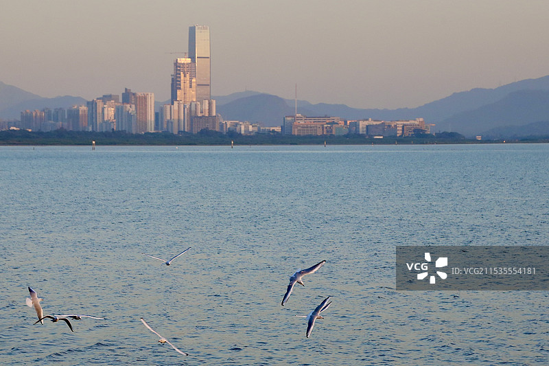 海滨城市风光图片素材