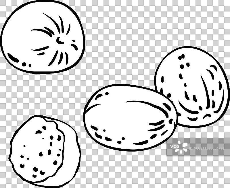 肉豆蔻坚果轮廓图 isolated图片素材