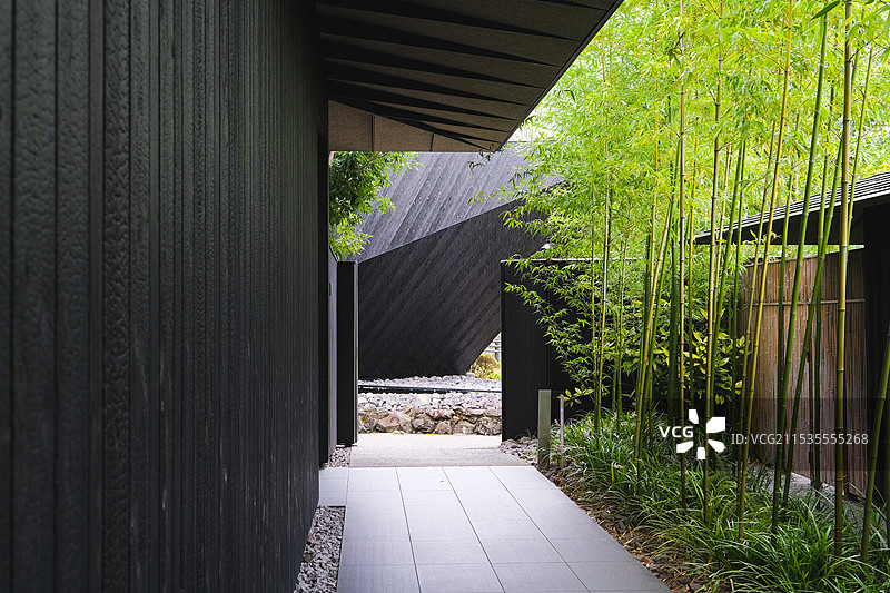 夏天的日本九州大分县由布院Comico Art Museum美术馆现代建筑走廊与竹林图片素材