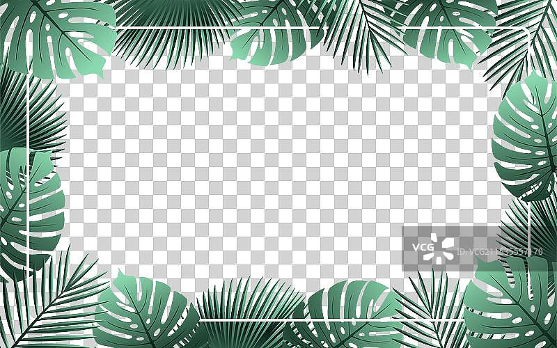 热带棕榈叶艺术用于夏季设计图片素材