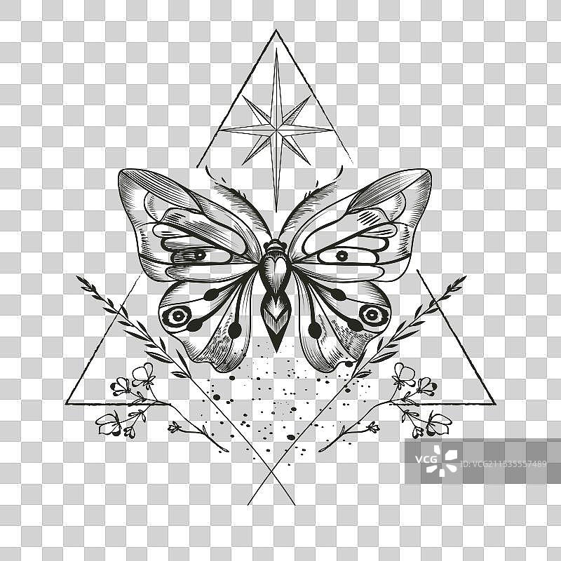 波西米亚风格的手绘蝴蝶图片素材