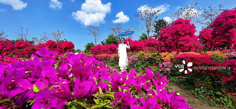 海南昌江聚源花卉博览园图片素材