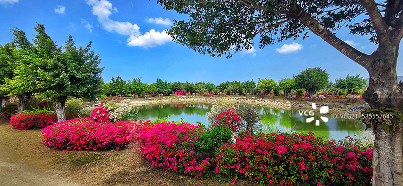 海南昌江聚源花卉博览园图片素材