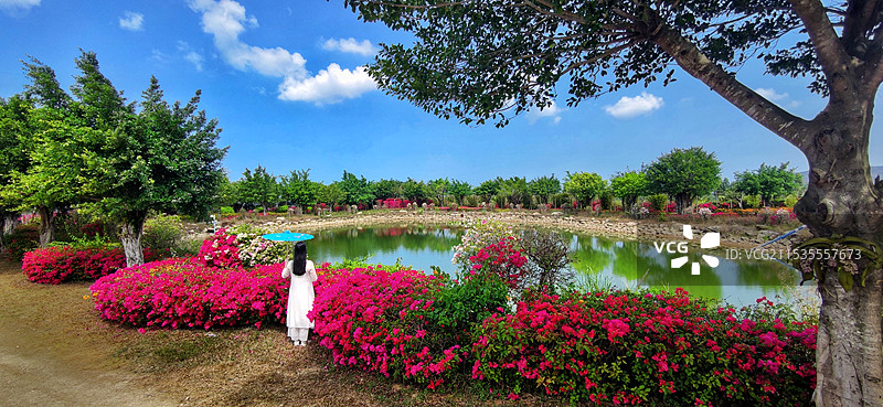 海南昌江聚源花卉博览园图片素材