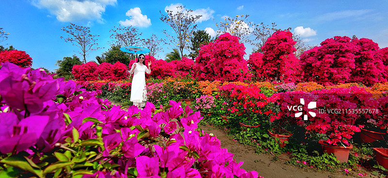 海南昌江聚源花卉博览园图片素材